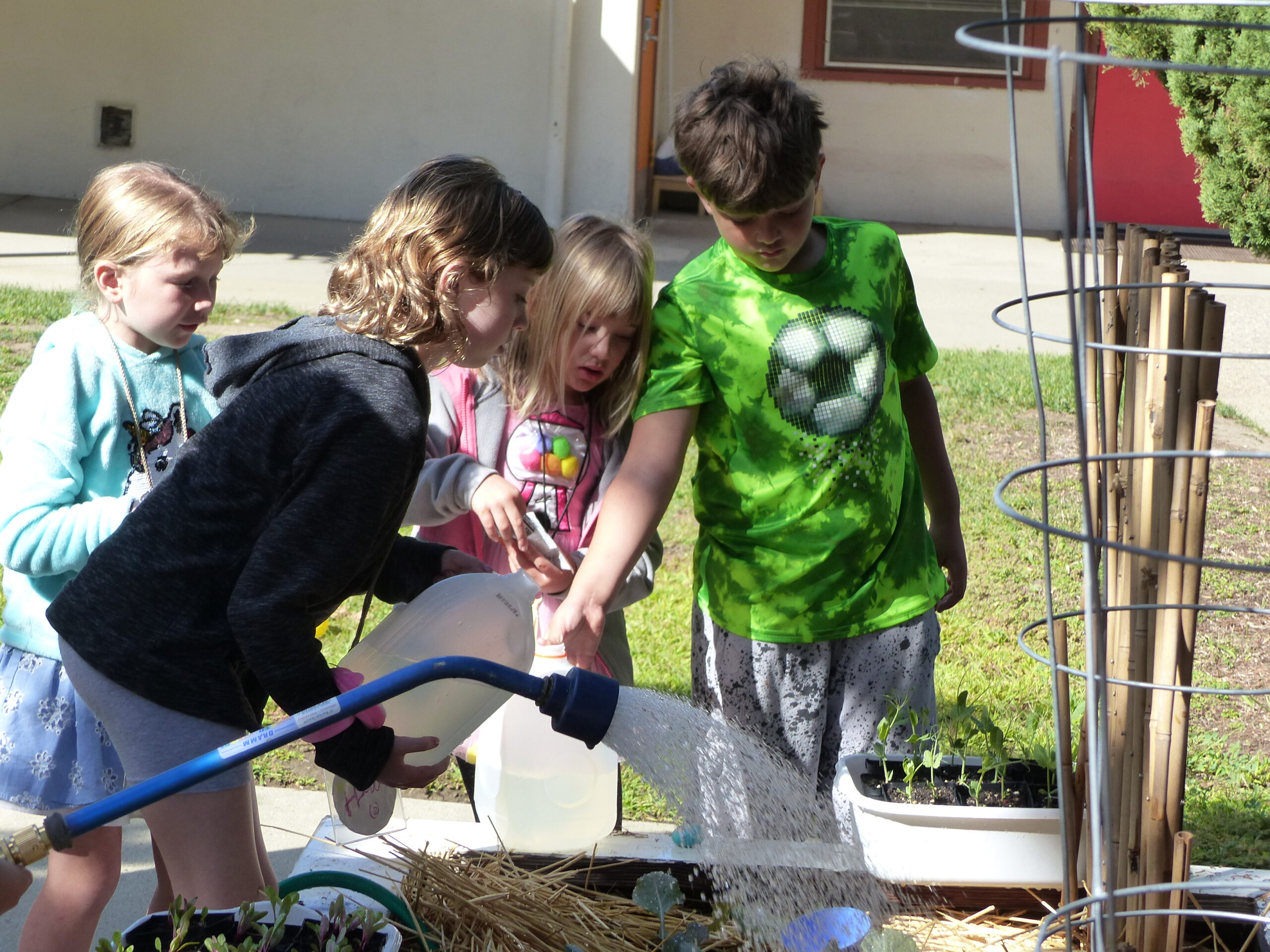 Group of kids gardening