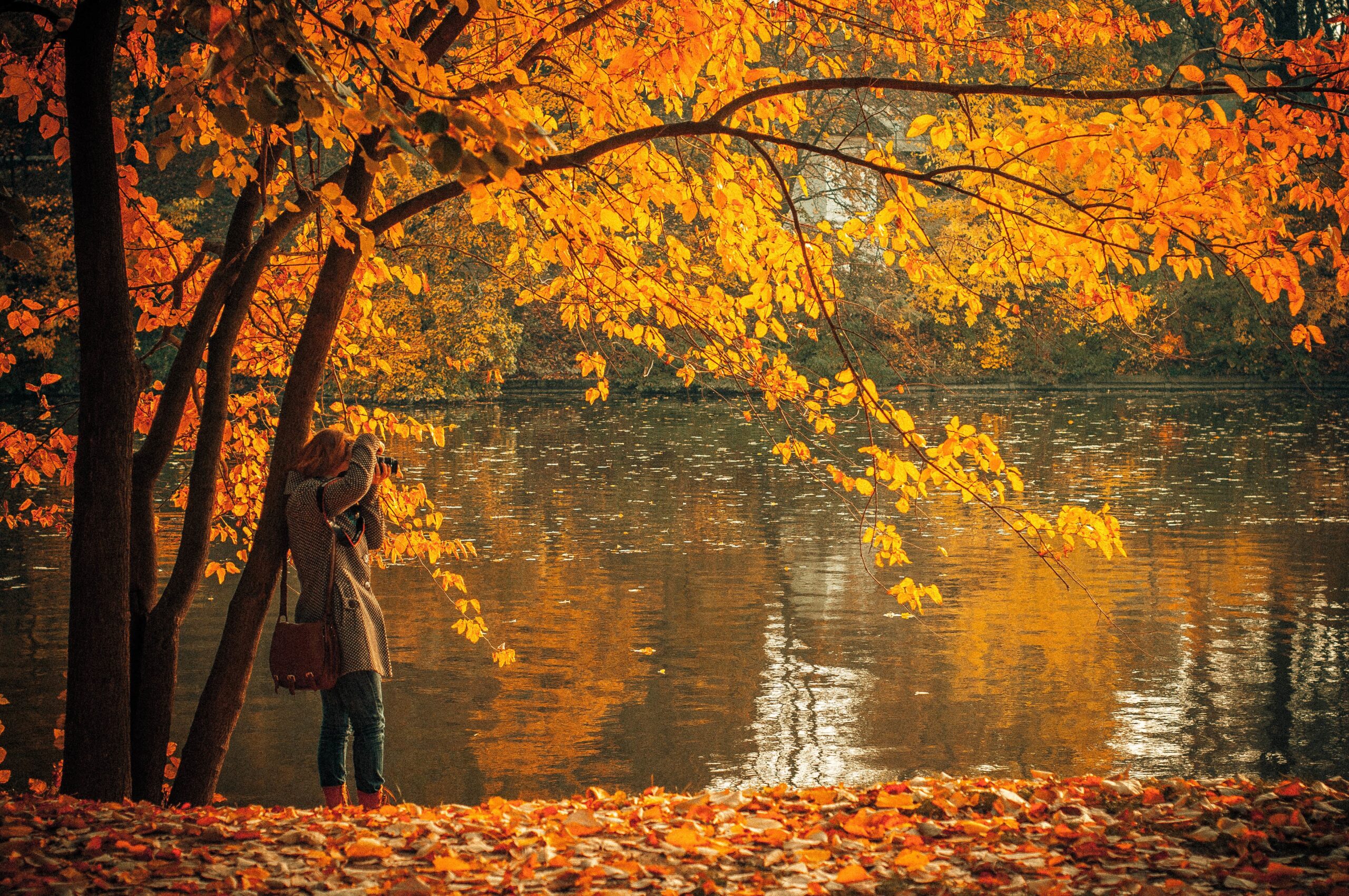 RE Theme for November: Healing